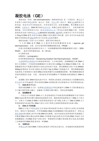 凝胶电泳相关知识