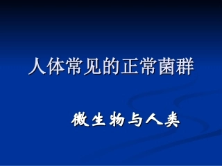 人体常见的正常菌群