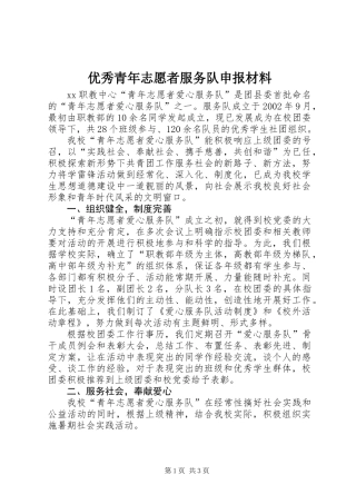 优秀青年志愿者服务队申报材料