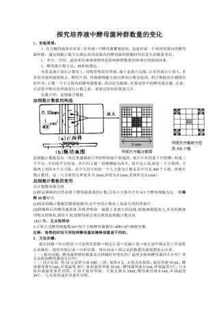 探究培养液中酵母菌种群数量的变化