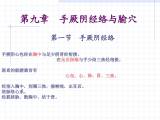 人体经络穴位图谱9心包经