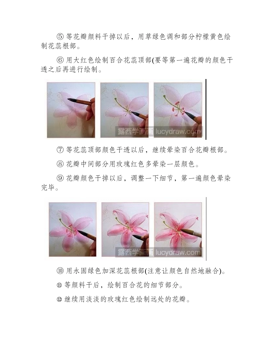 水彩画教程-怎么绘制百合花水彩画教程_第2页