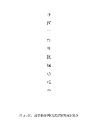 社区工作社区探访报告