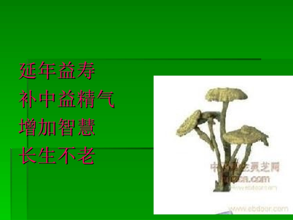 灵芝孢子油的作用1_第2页