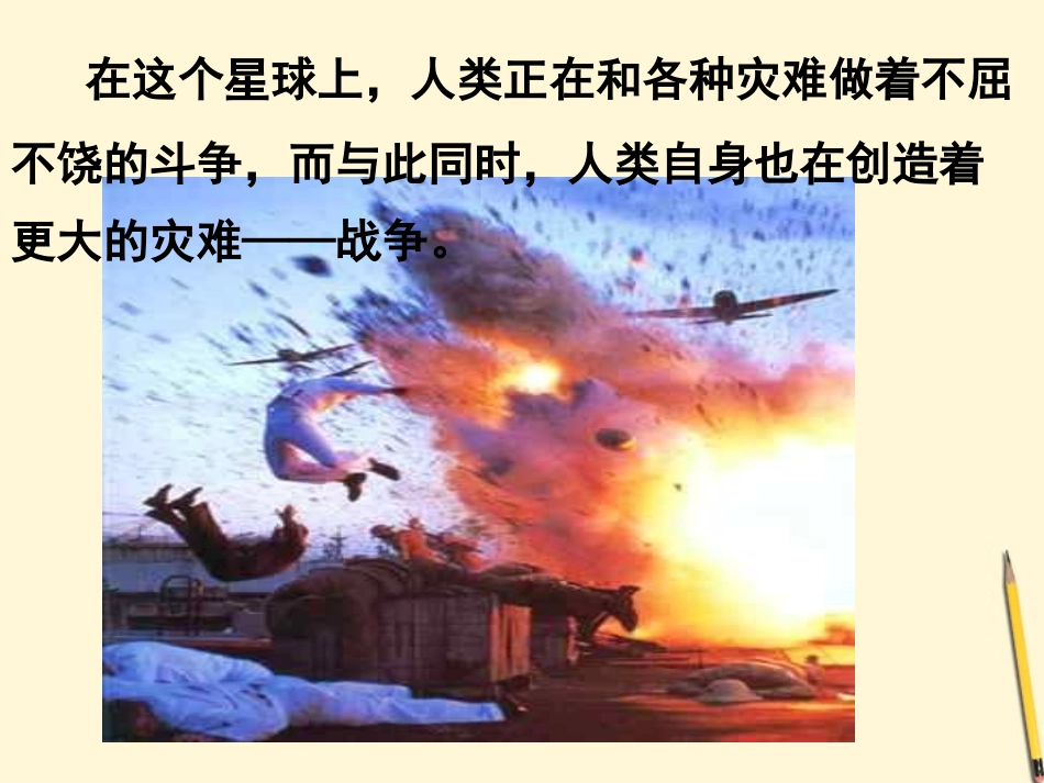 七年级美术《和平鸽 》课件 湘教版_第2页