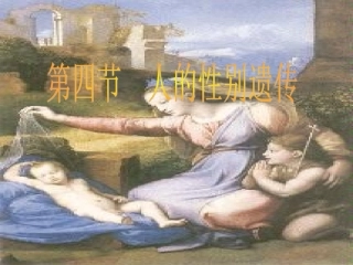 男女染色体有差别