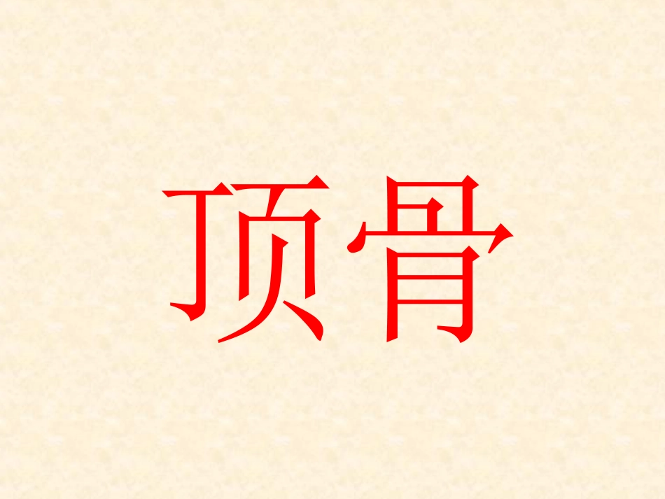 人体骨骼系统2_第3页