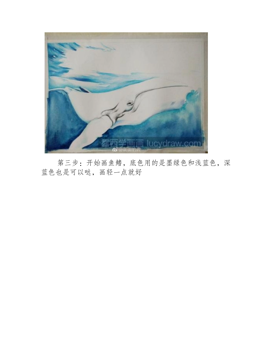 水彩画鲸鱼步骤教程水彩画教程_第2页