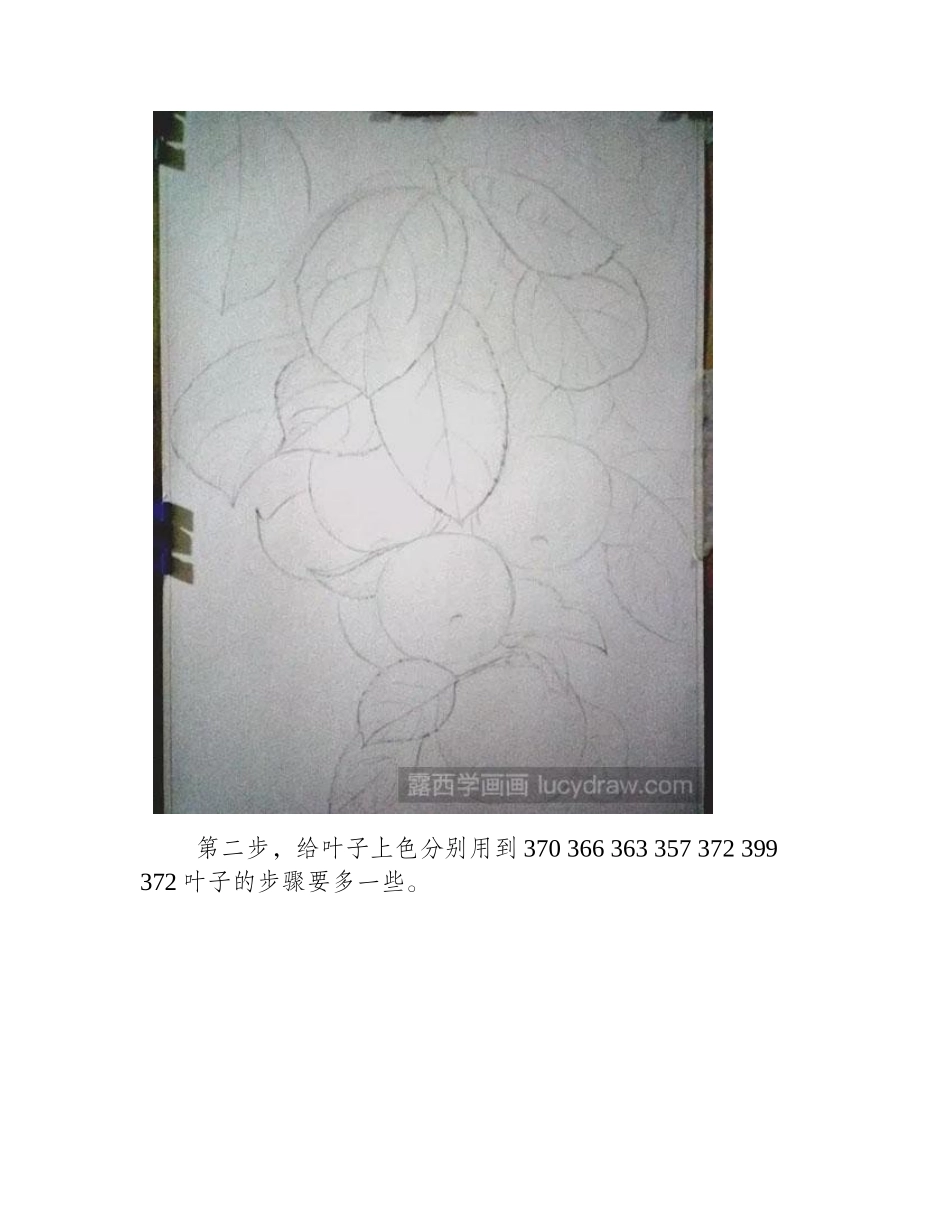 苹果彩铅画彩铅画教程_第2页