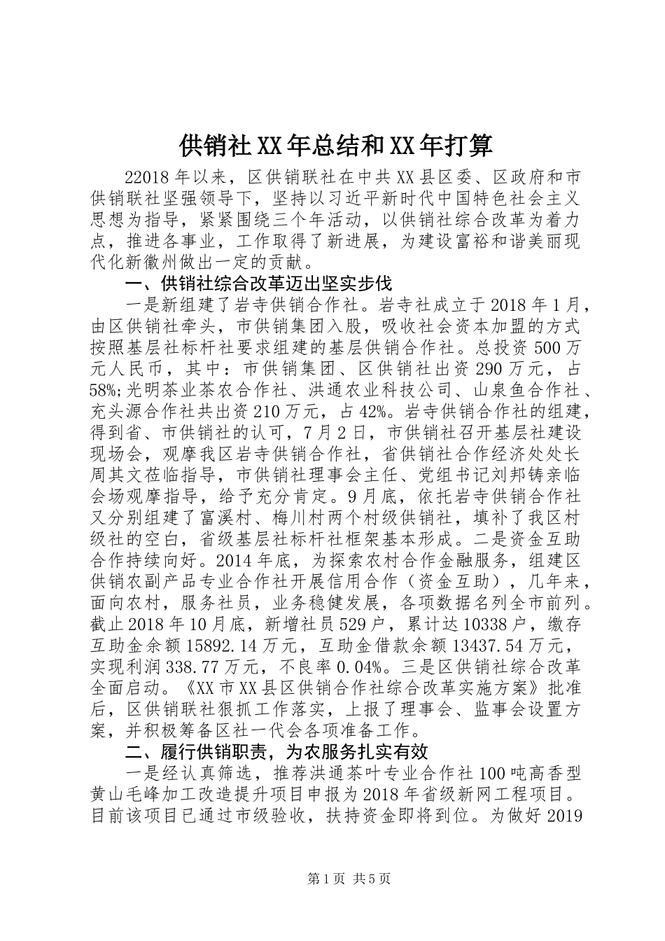 供销社XX年总结和XX年打算_第1页