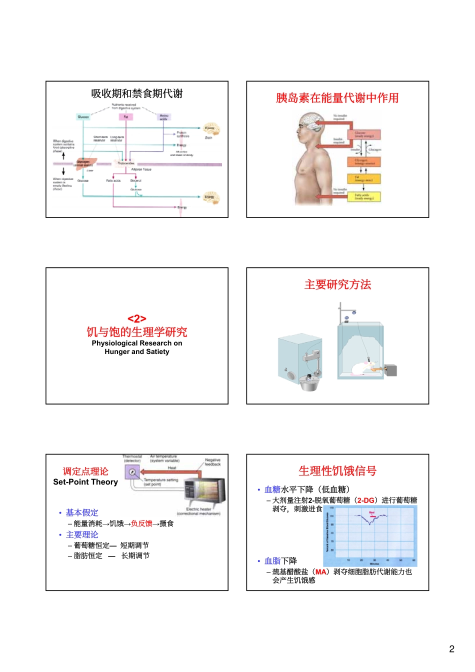 生理心理学07-进食行为_第2页