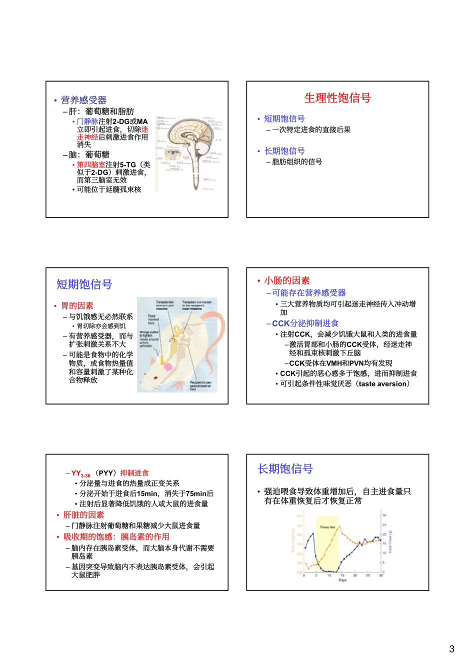 生理心理学07-进食行为_第3页