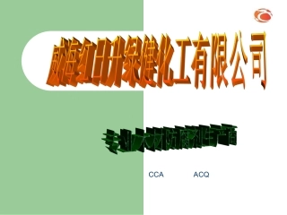 木材防腐剂PPT