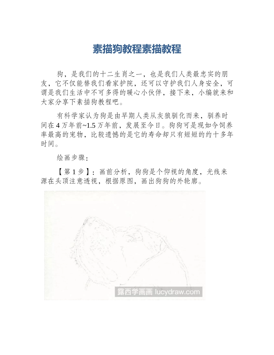 素描狗教程素描教程_第1页