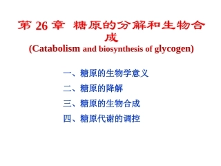 生物化学第26章糖原的分解和生物合成