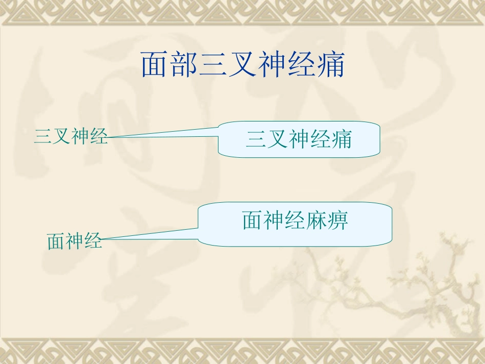 三叉神经疼痛的发病病理_第2页