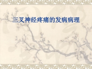 三叉神经疼痛的发病病理