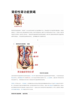 肾前性肾功能衰竭 (2)