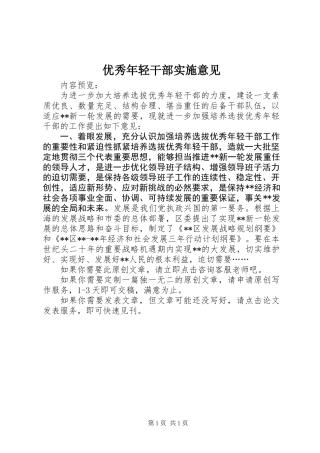 优秀年轻干部实施意见