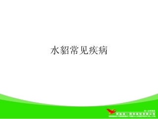 水貂常见疾病介绍