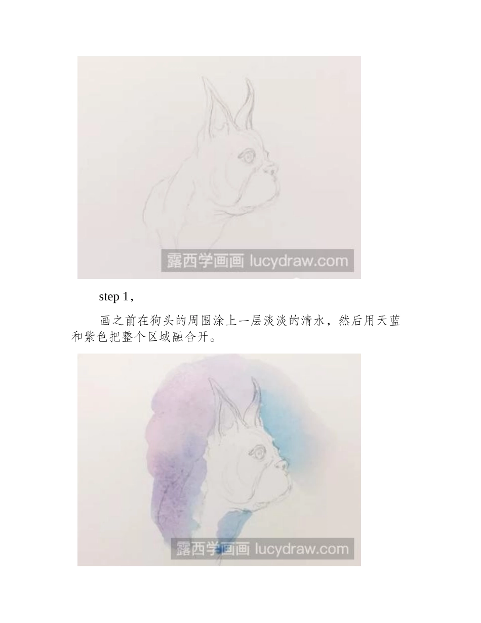水彩画教程：教你画法斗一寸照水彩画教程_第2页