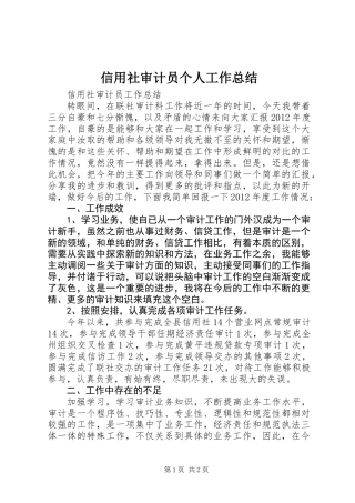 信用社审计员个人工作总结