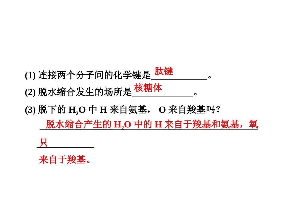 生命活动的主要承担者——蛋白质教材_第3页