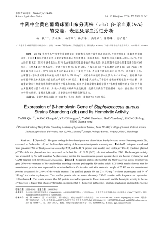 牛乳中金黄色葡萄球菌山东分离株(zfb)β-溶血素(hlb)的克隆,表达及溶血活性分析