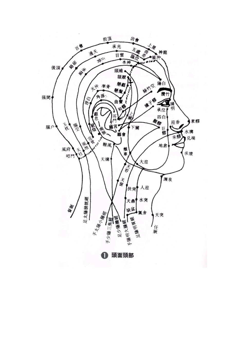 人体穴位图最全大图(头 躯干 四肢)_第1页