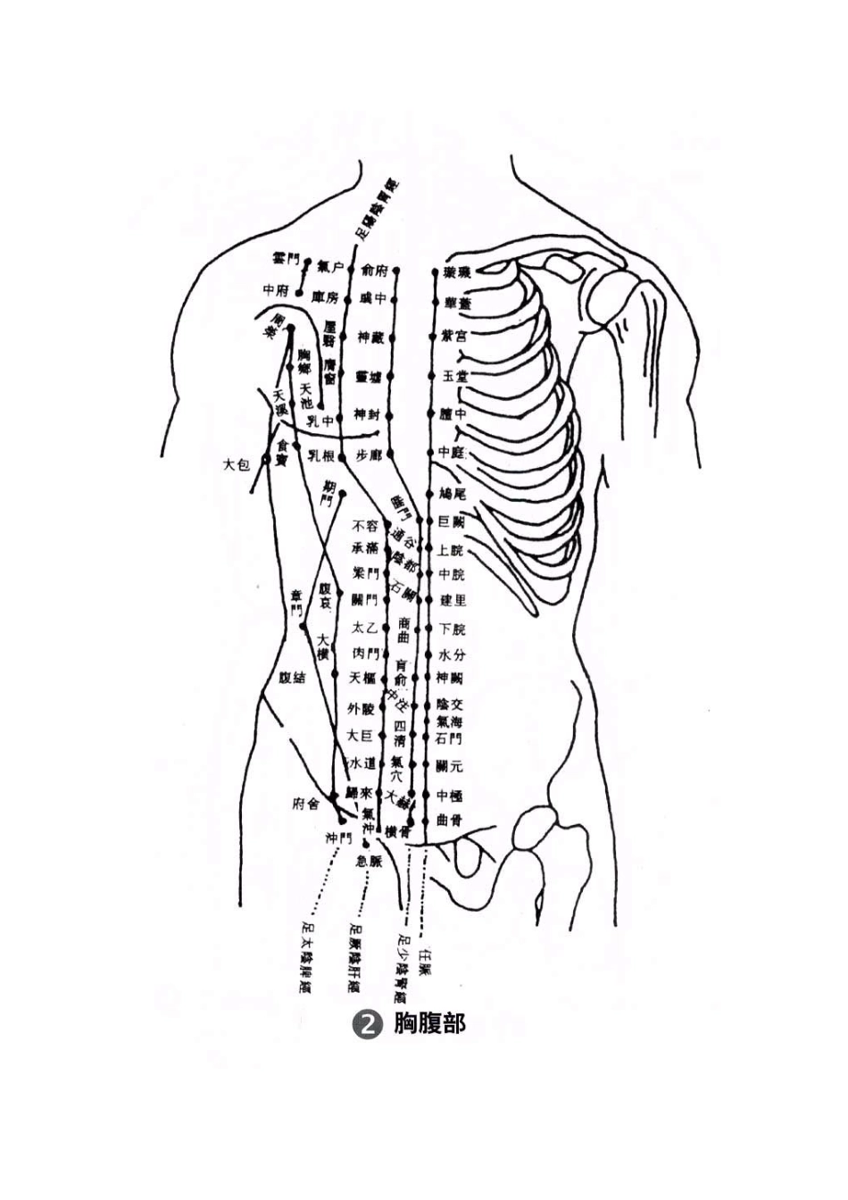 人体穴位图最全大图(头 躯干 四肢)_第2页