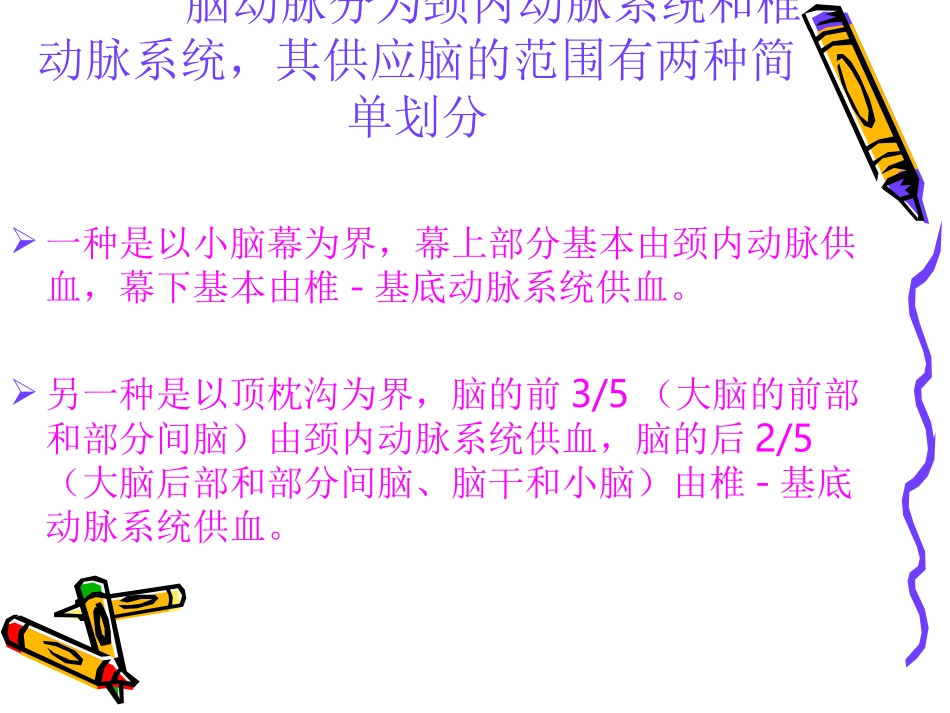 脑的动脉供应区域_第2页