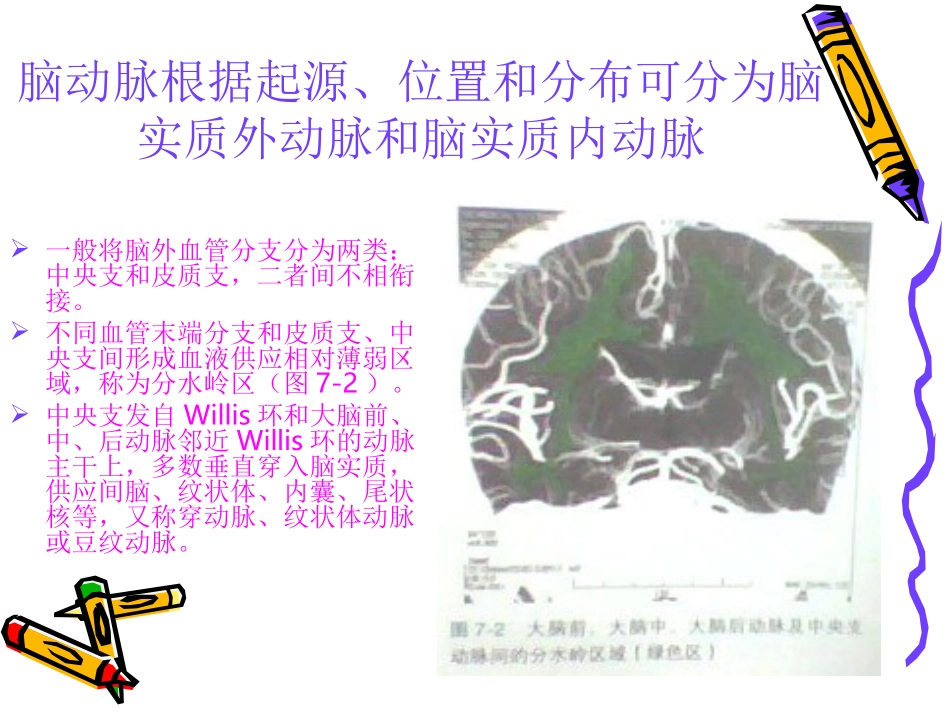 脑的动脉供应区域_第3页