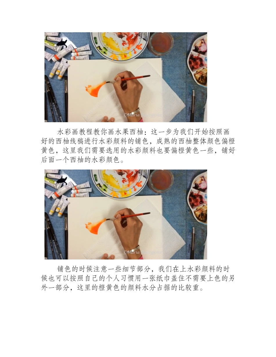 西柚怎么画_教你画水果西柚的水彩画水彩画教程_第2页