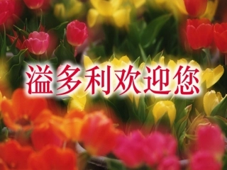 饲料加药的技巧