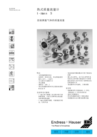 热式气体流量计技术资料