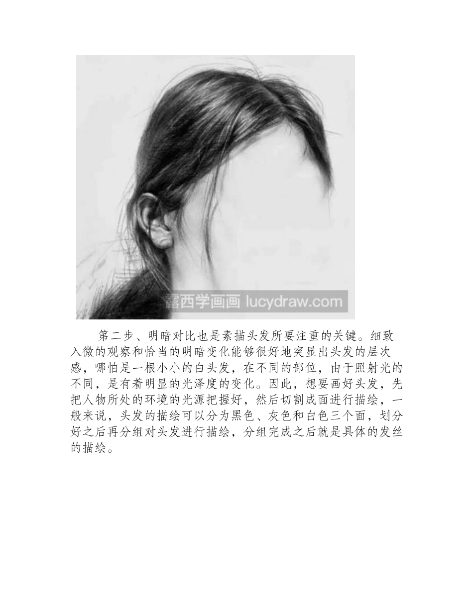 素描教程：教你画头发素描教程_第2页