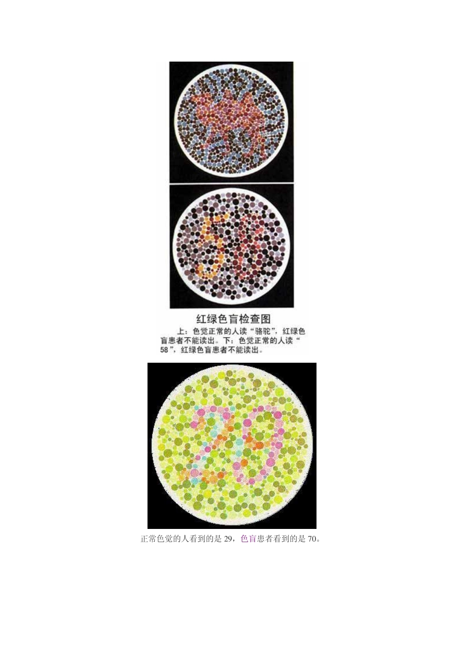 色盲检查图(附注解)_第2页