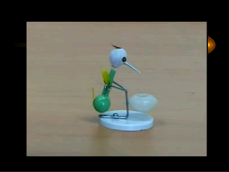 奇异的饮水鸟_第2页