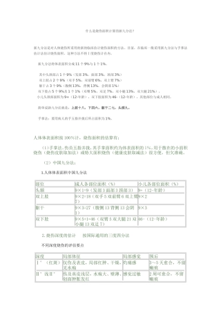 烧伤等级九分法