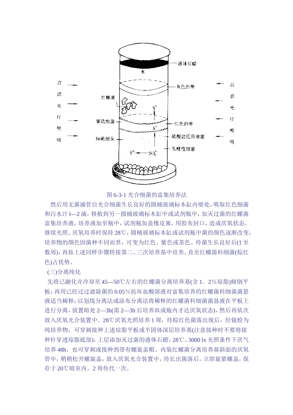 实验二 光合细菌的分离_第2页