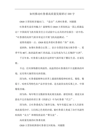 如何推动吐鲁番高质量发展研讨500字 
