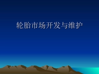 轮胎市场开发与步骤