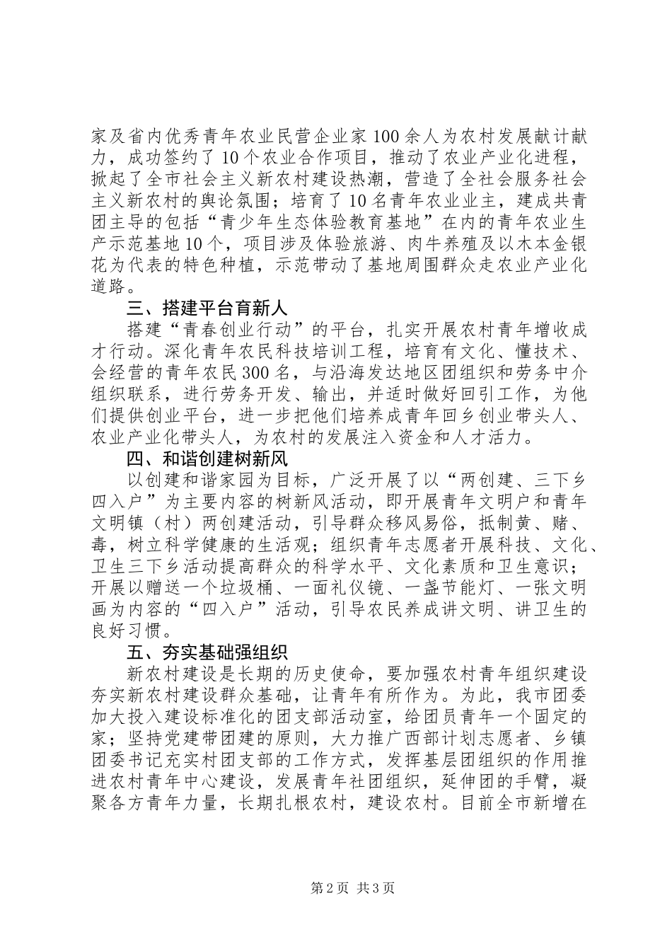 共青团市委新农村建设工作小结_第2页