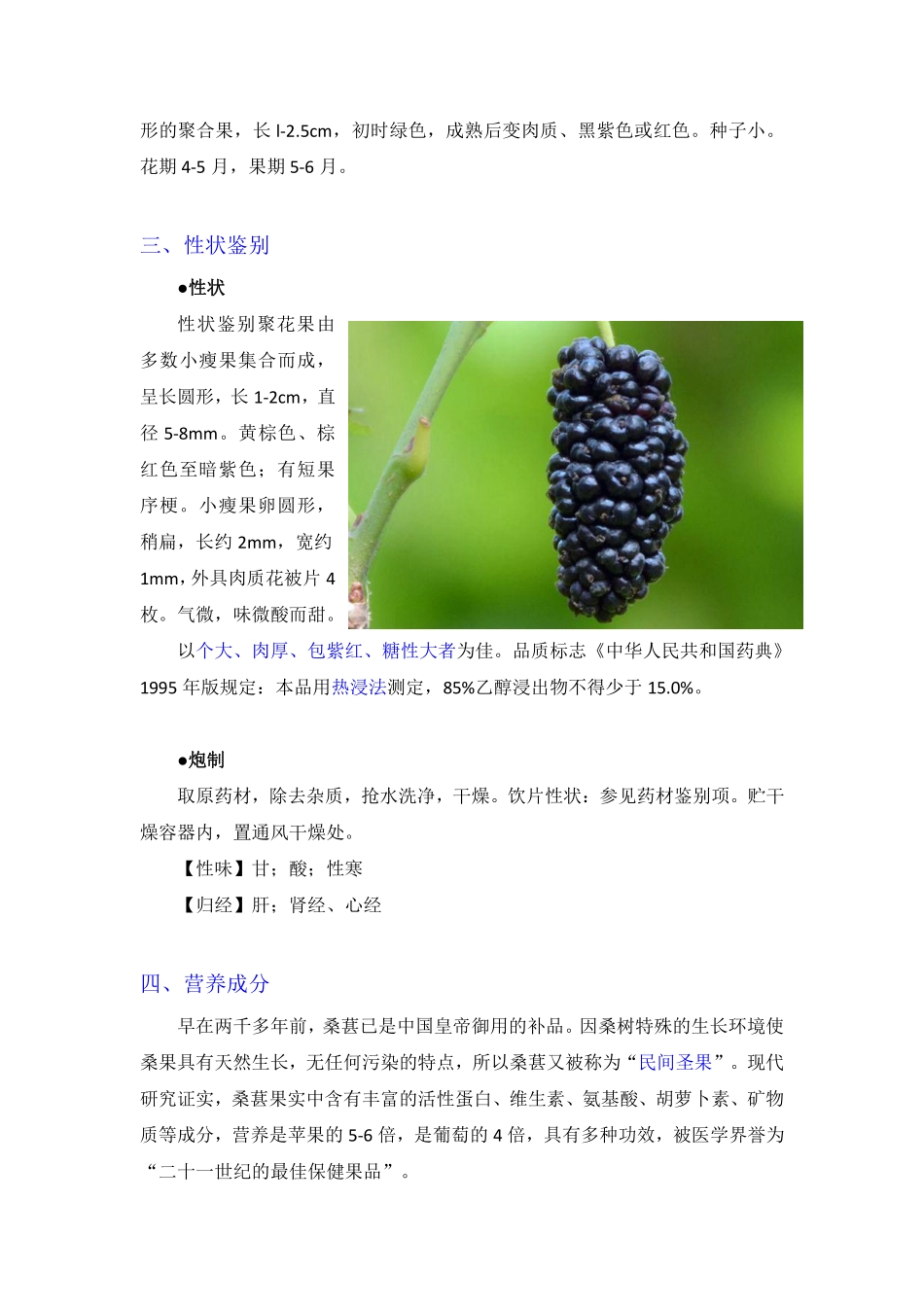 桑椹子的功效及食用方法_第2页