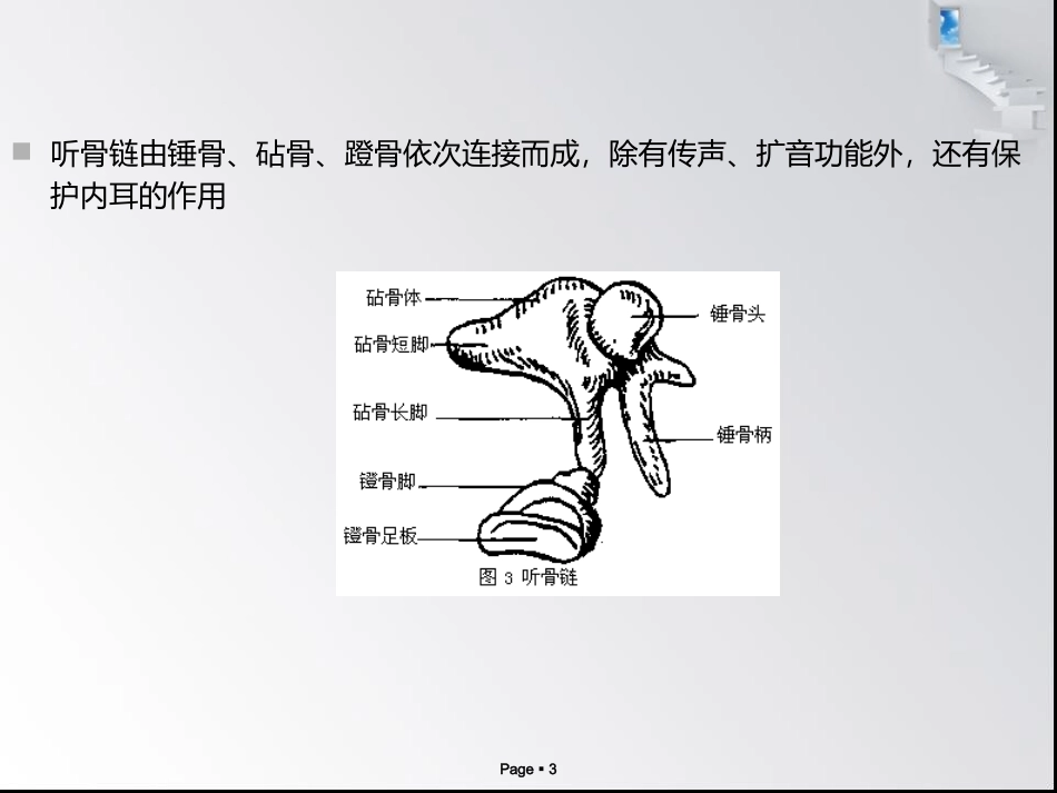 慢性中耳乳突炎_第3页