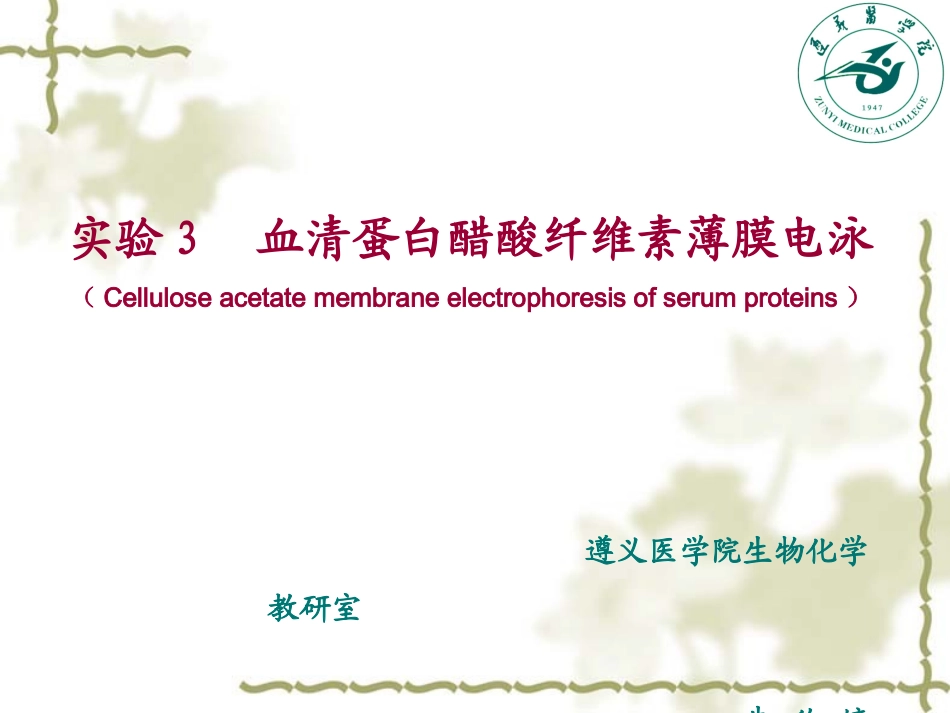 生化实验2 电泳_第1页