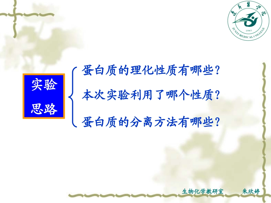 生化实验2 电泳_第2页