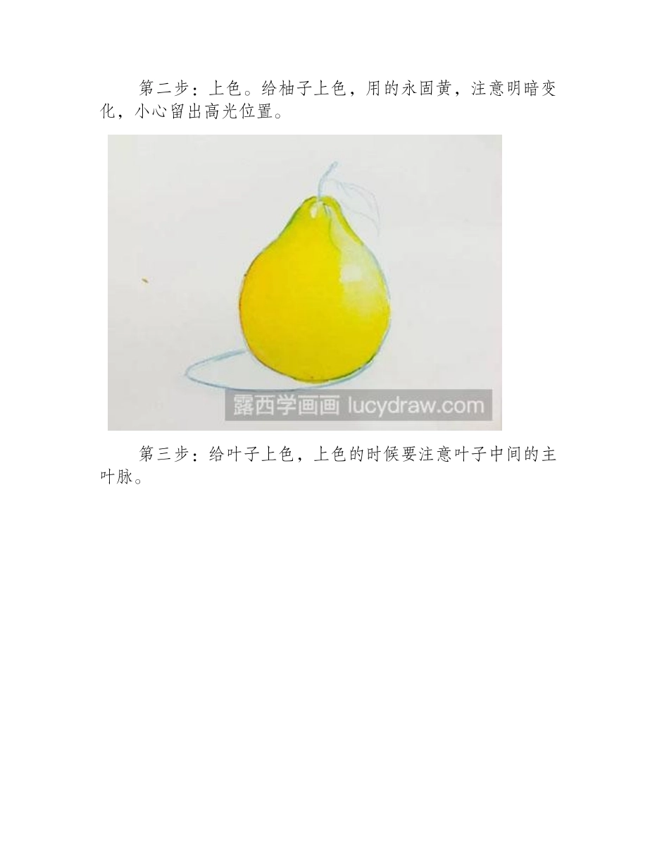 水彩画教程：怎么画柚子水彩画教程_第2页