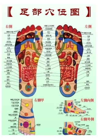 女性足底按摩穴位图示