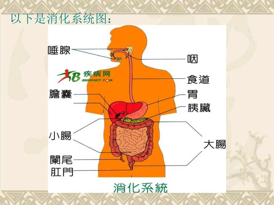 如何保护消化器官_第3页
